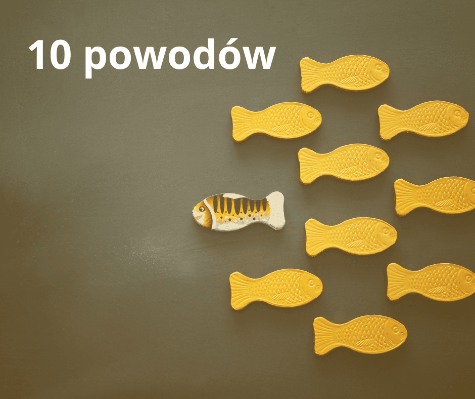 10 powodów, dlaczego warto otworzyć biuro nieruchomości w ramach franczyzy?