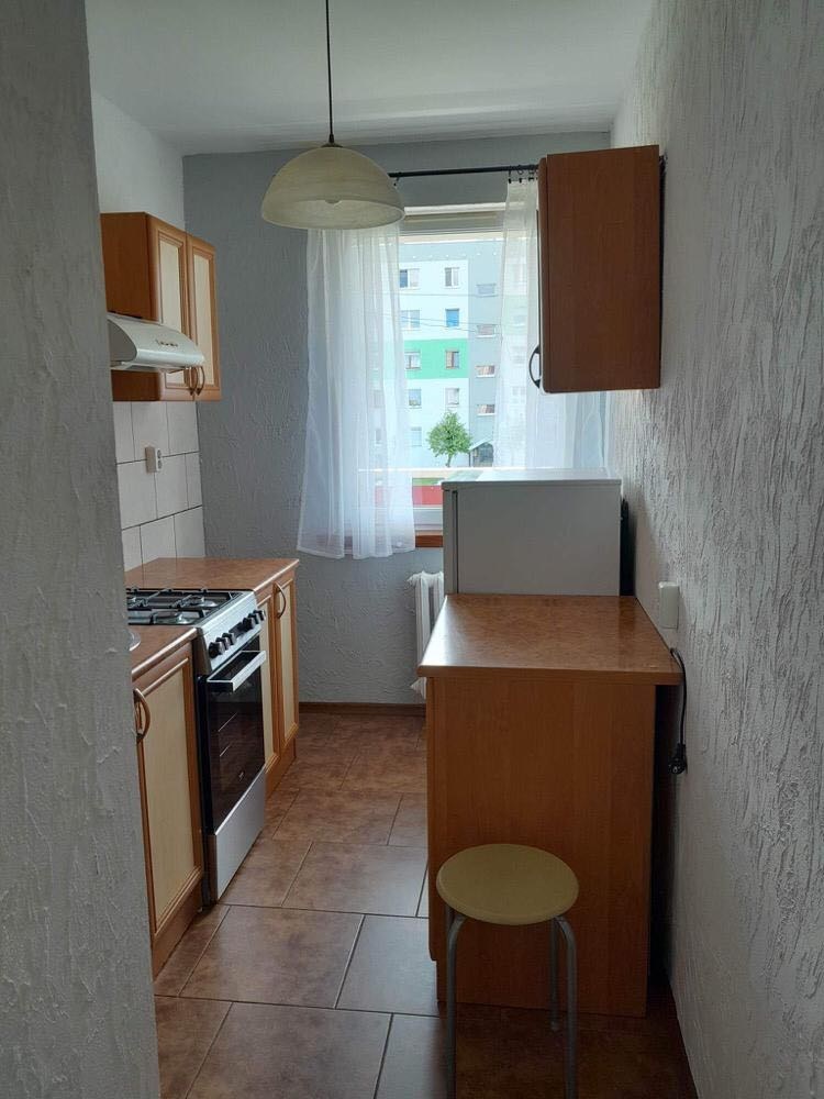 346124822_239581782021011_6342090465753109167_