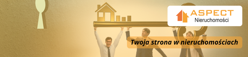 Tlo_nieruchomosci-online_1